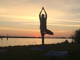 Je bekijkt nu Yogales