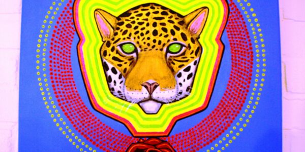 Expositie in Lokaal-O