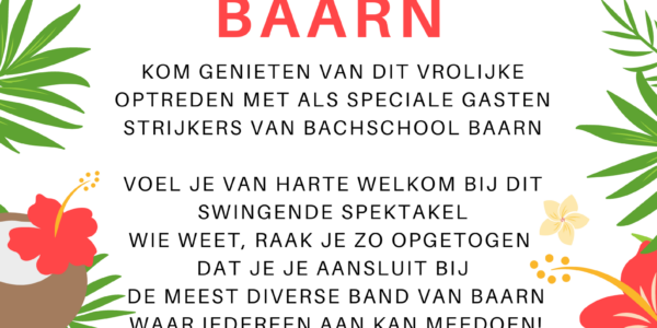Optreden Buurtband Baarn op 6 juli